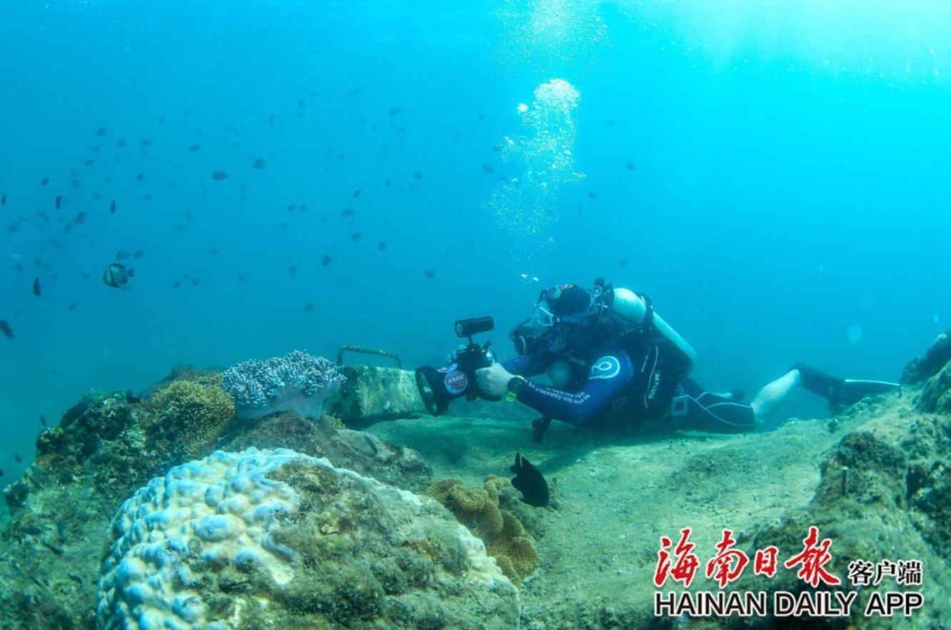 沪江开心词场